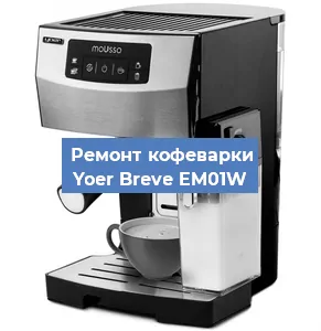 Замена прокладок на кофемашине Yoer Breve EM01W в Ростове-на-Дону